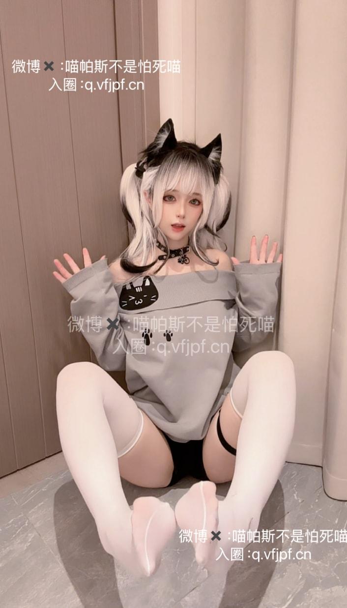 喵帕斯不是怕死喵 – 日常白斯喵-最佳作品